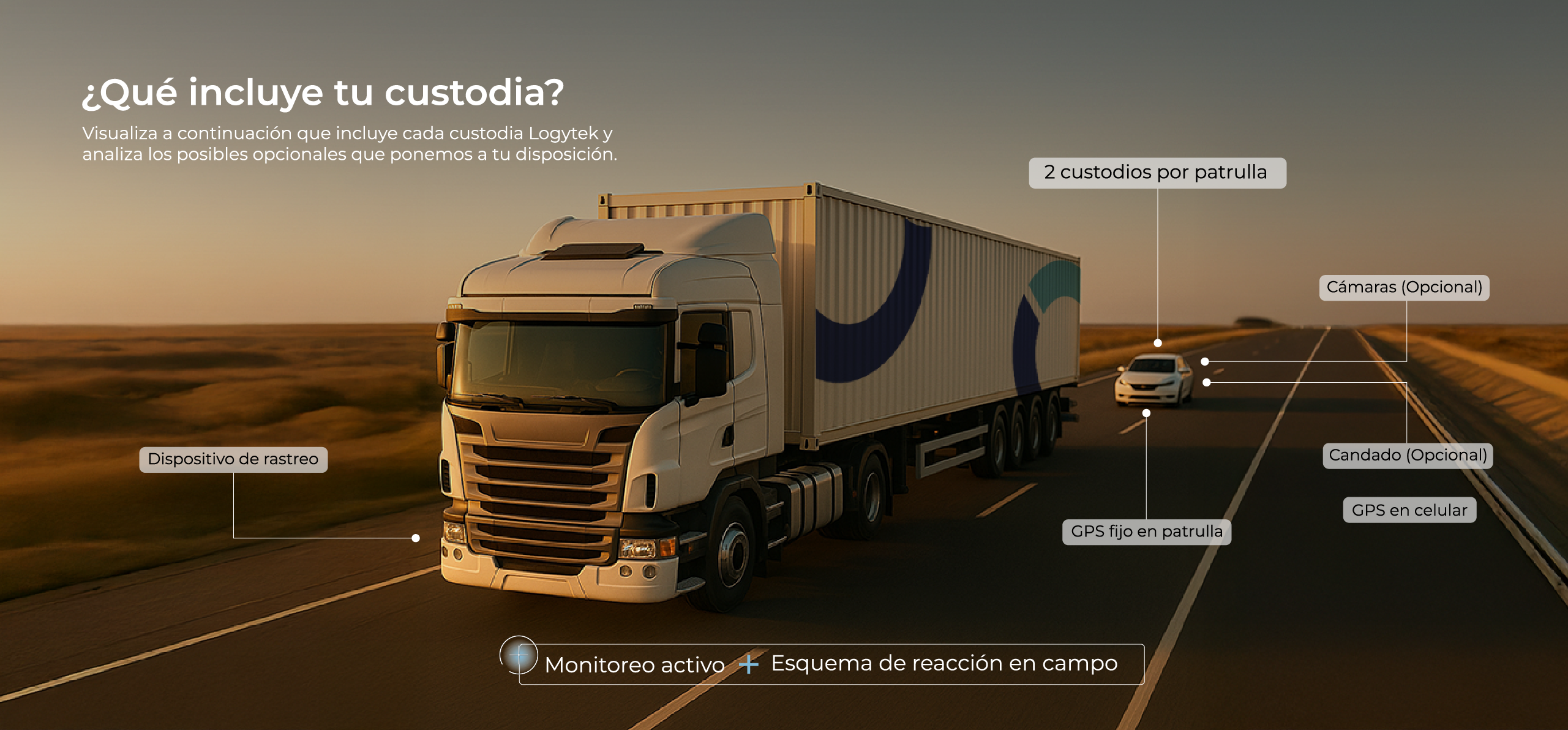 Logytek custodia