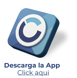 Boton descarga